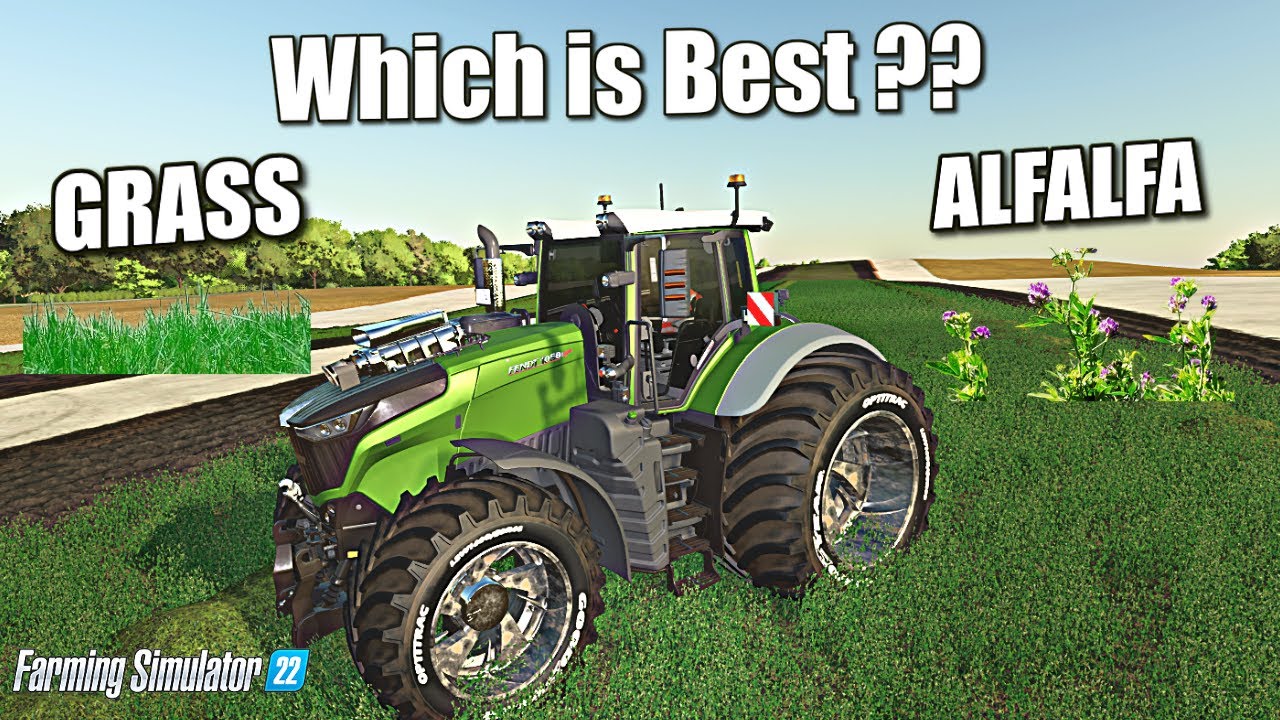 Что лучше? Трава или люцерна... Давайте проверим. Farming Simulator 22