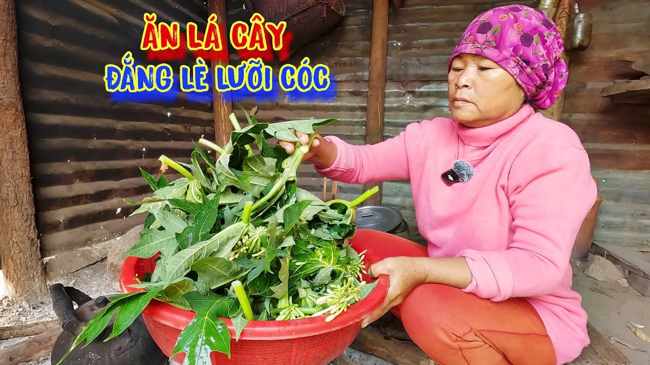 BỮA ĂN của người nghèo, món ăn LÁ CÂY, không phải ai cũng DÁM ĂN - tập 1292