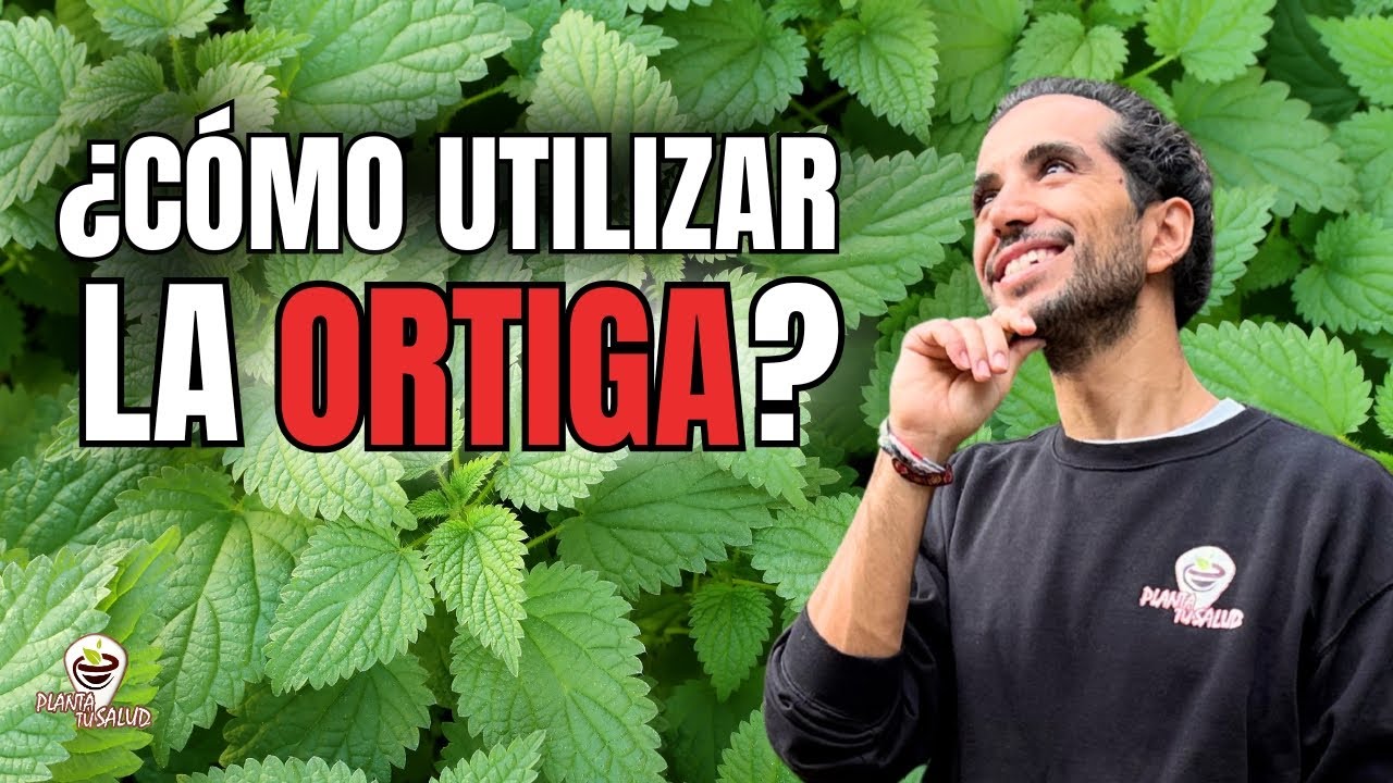 Ortiga🌿, para qu&eacute; sirve y c&oacute;mo prepararla. 4+1 ejemplos de uso medicinales
