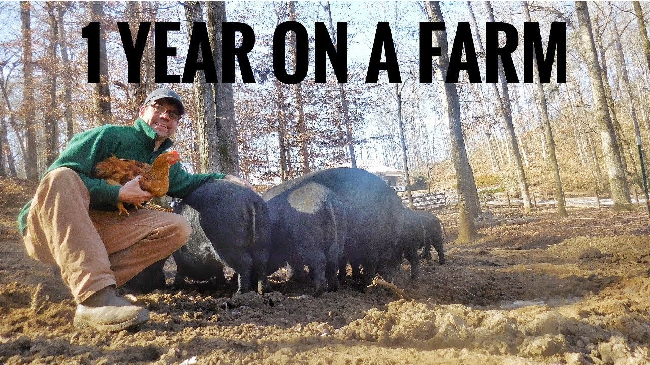Living on a Family Farm (1 Year On YouTube Recap)