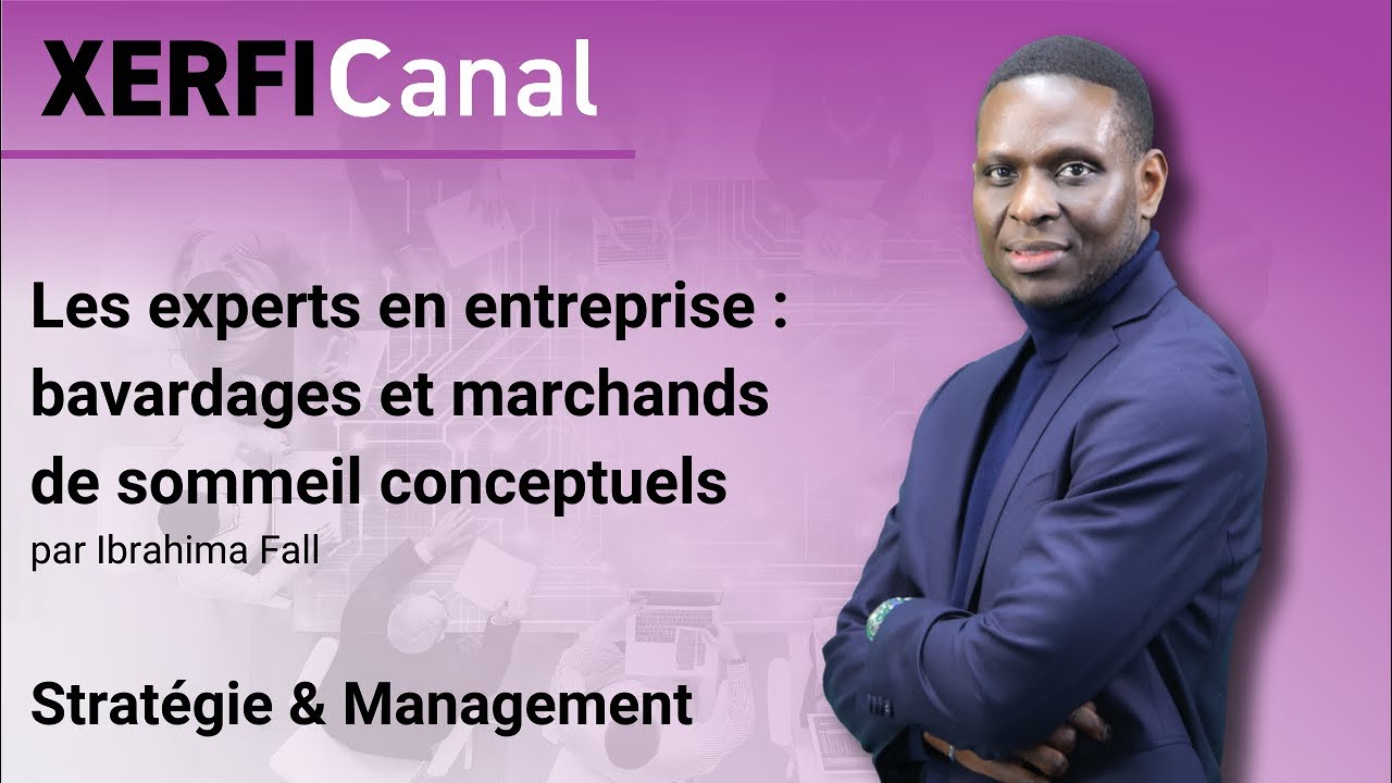 Les experts en entreprise : bavardages et marchands de sommeil conceptuels [Ibrahima Fall]