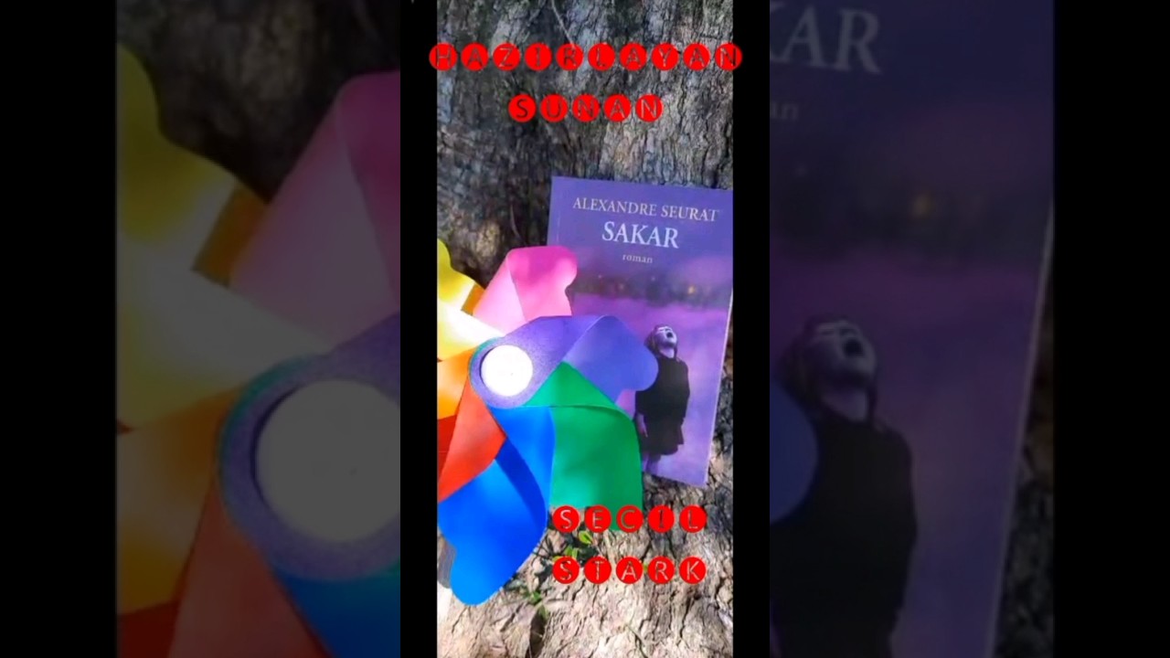 SAKAR Alexandre Seurat @booktuber @hayattaherseyvar #youtubeshorts #shorts