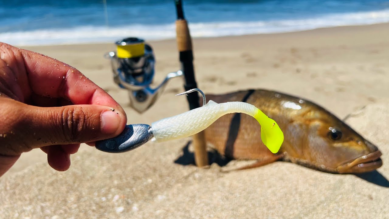 PESCA DE PARGO CUBERA// PESCA CON VINILO// PESCA DE PLAYA!