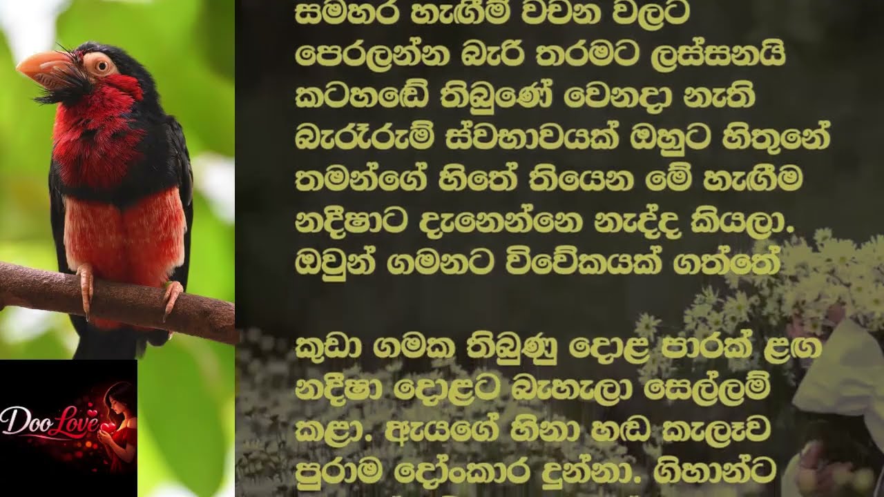 බෝඩිමේ ඉන්න අක්කා | sinhala keti katha | short stories #shortstory