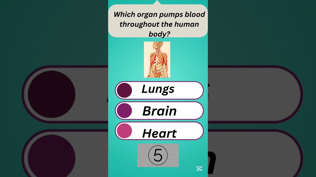 Think Fast! This Quiz Is Harder Than It Looks 👀 