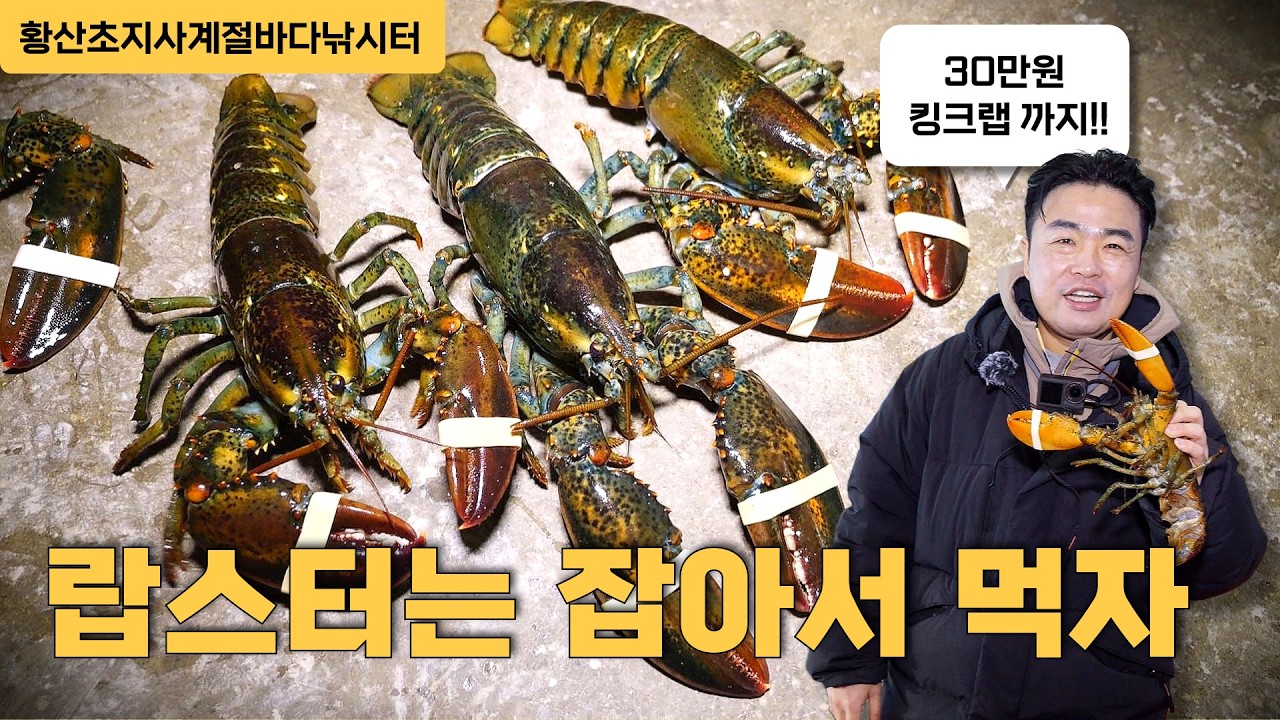 정말 쉽고 재미있는 랍스터 낚시!!