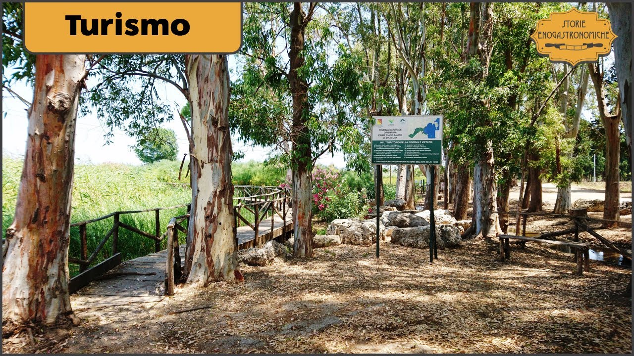 La mitologica fonte del fiume Ciane, Siracusa