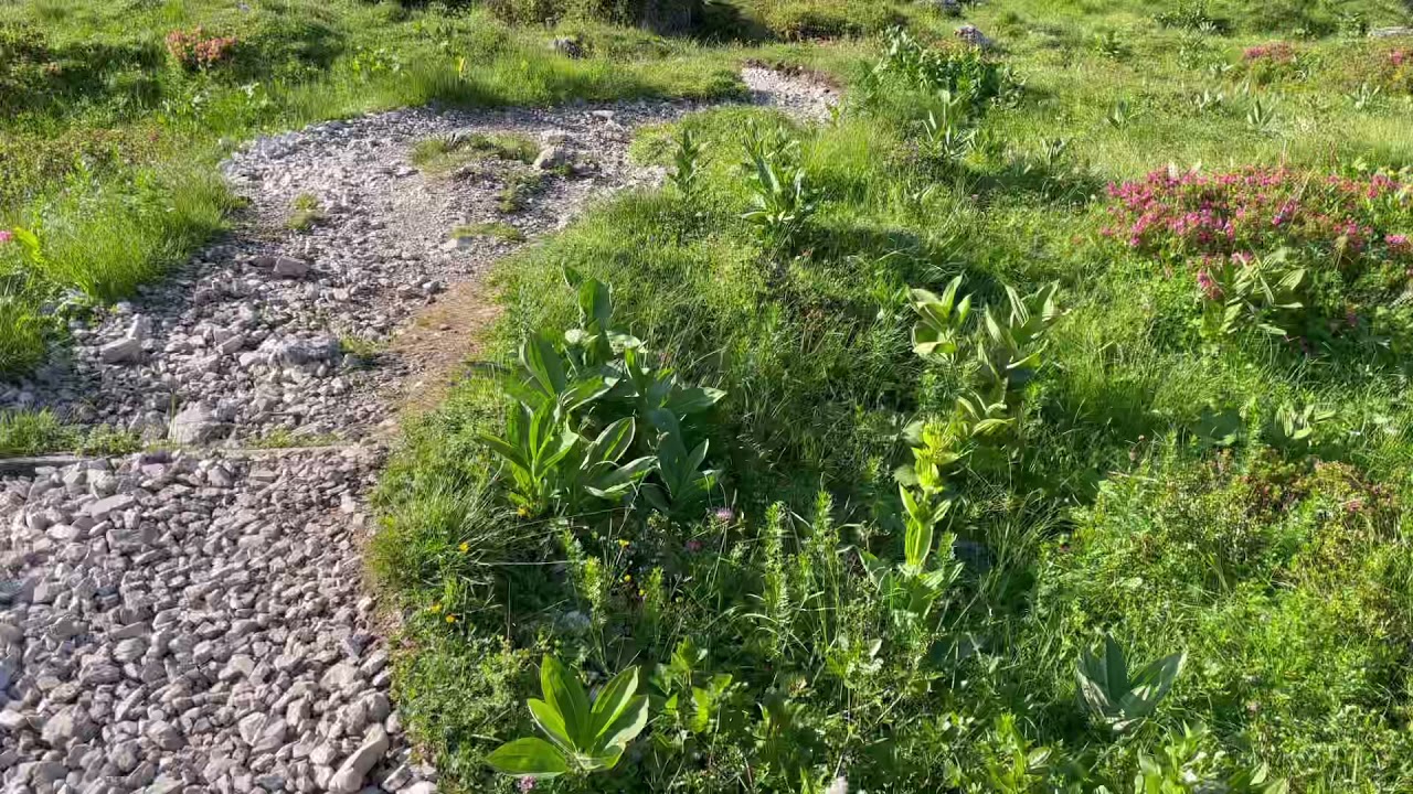Kurzfilm Lachenspitze