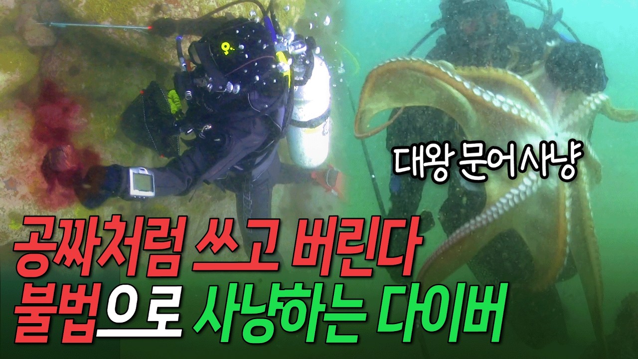 작살로 찌르고 마음에 안 들면 버린다&hellip; 일부 스쿠버다이버의 불법 어로 행위 [환경스페셜 - 바다와 인간 : 스쿠버다이빙의 두 얼굴] / KBS 20120829 방송