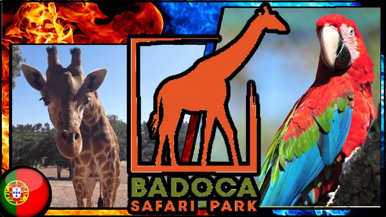 Badoca Safari Park 🐒🦓🦒 Alentejo - Vila Nova de Santo André 🇵🇹 | EP 20