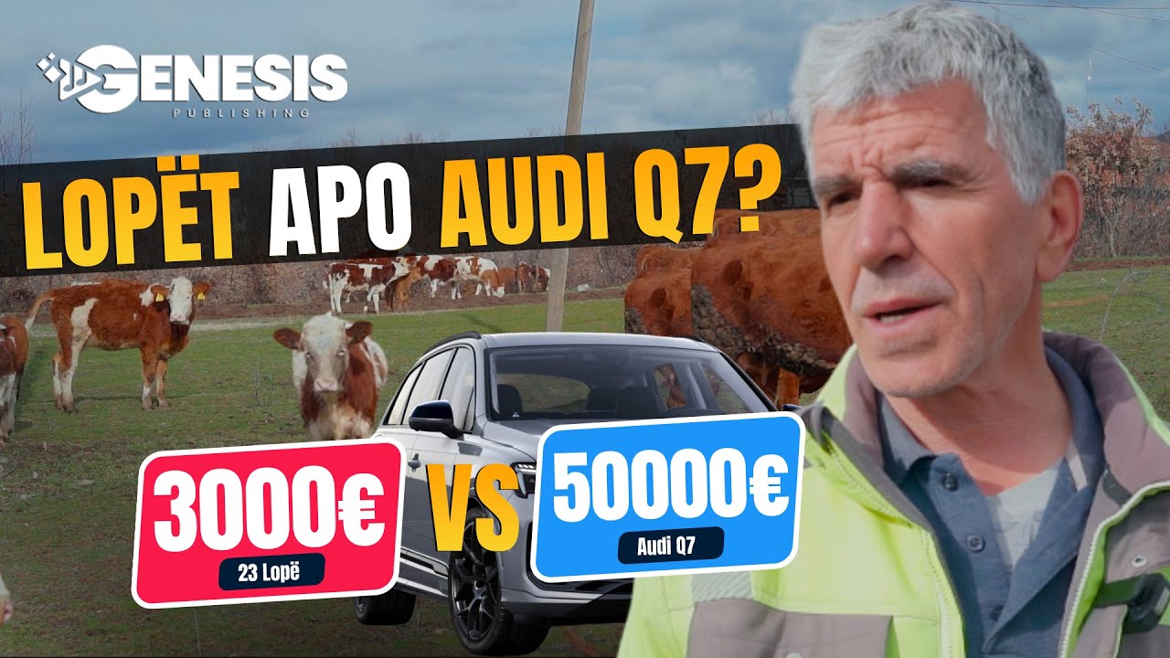 I kam 23 lopë, 3000 mijë euro e shes lopën. Ma shumë i dua lopët se Q7-ën 50,000 euro.