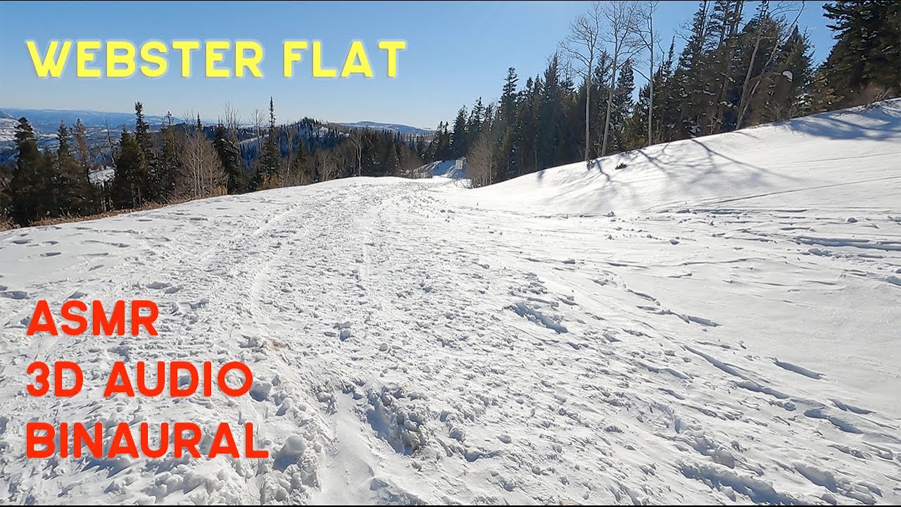 Webster Flat snowy walk (Dixie National Forest) [ASMR] [3D audio] [Binaural]