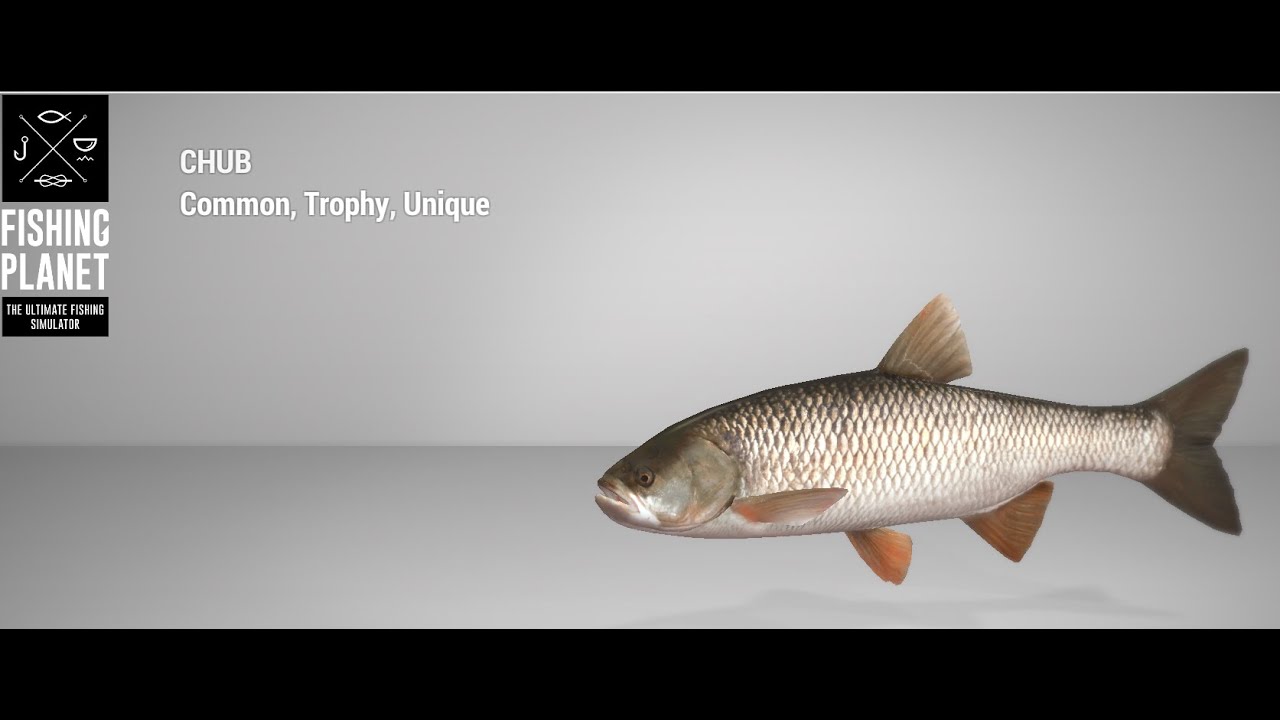 Fishing Planet - Tiber River - Unique Chub - Bait