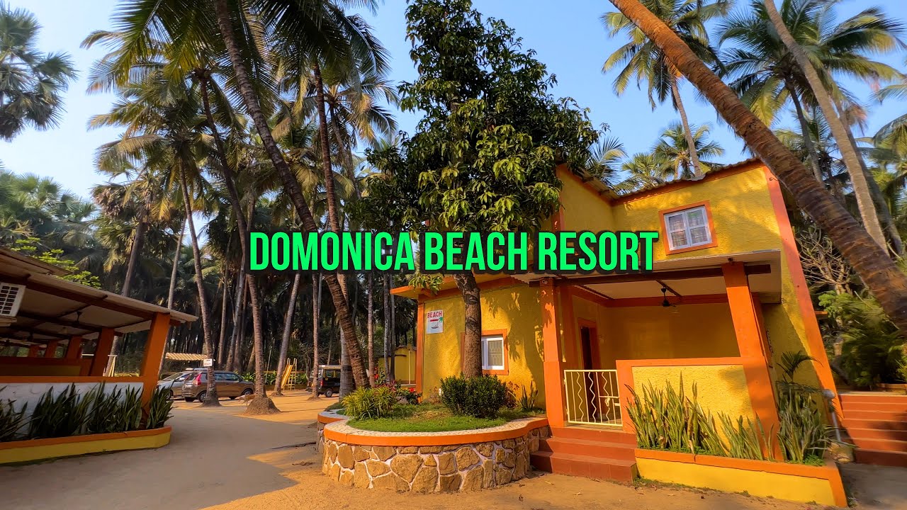 Domonica Beach Resort - Experience Ultimate Relaxation at Manori Surrounded by palm and coconut tree