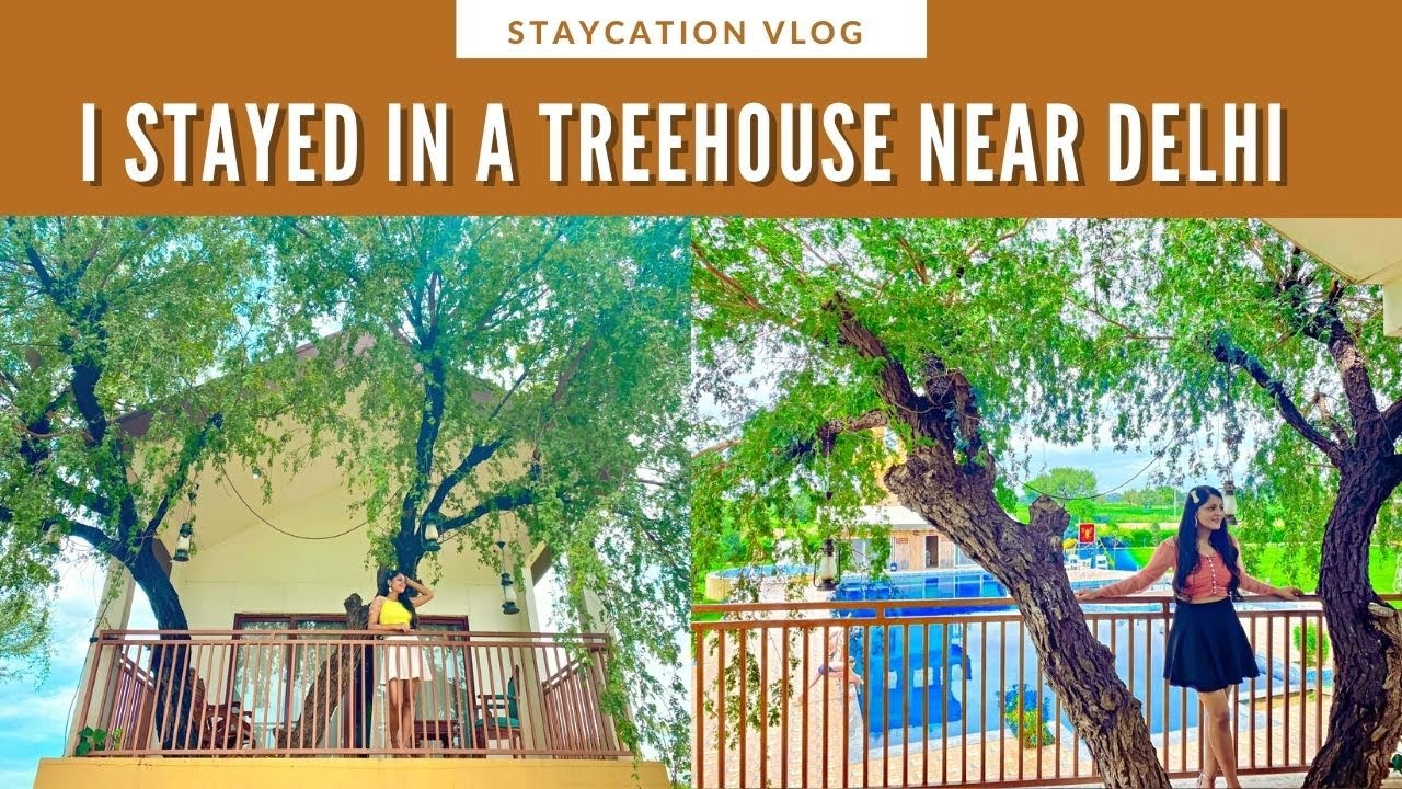 Tree House Resort Near Delhi | Budget Staycation | Weekend Getaway near Gurgaon | Fungram Resort