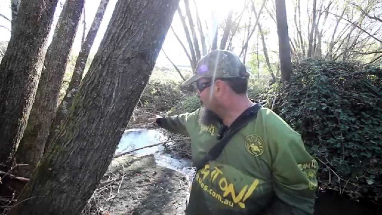 Robbie's River round-up 1st May 2015 and nice brown trout capture.