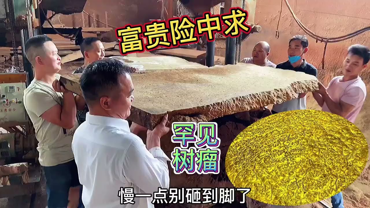 花70000买个烂树瘤，锯开一看竟然是这种花纹，赚大了「老蒋根雕」