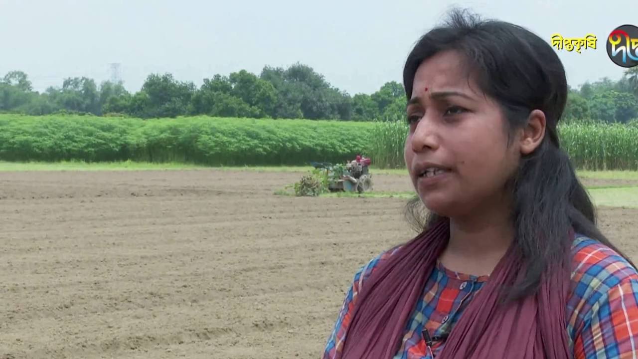 Deepto Krishi/দীপ্ত কৃষি - গাজর চাষ/পাবনা, পর্ব ৬৭