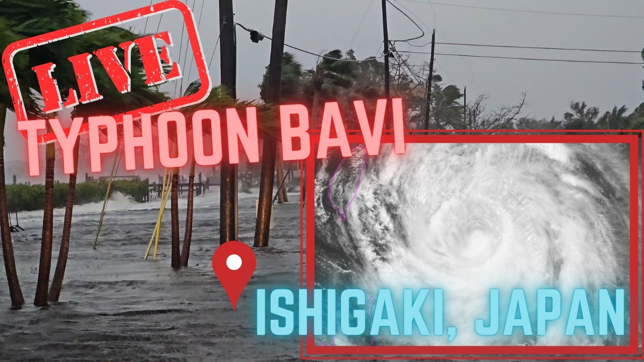 LIVE Typhoon Bavi Landfall in Japan | Significant Impacts | Storm Chasing