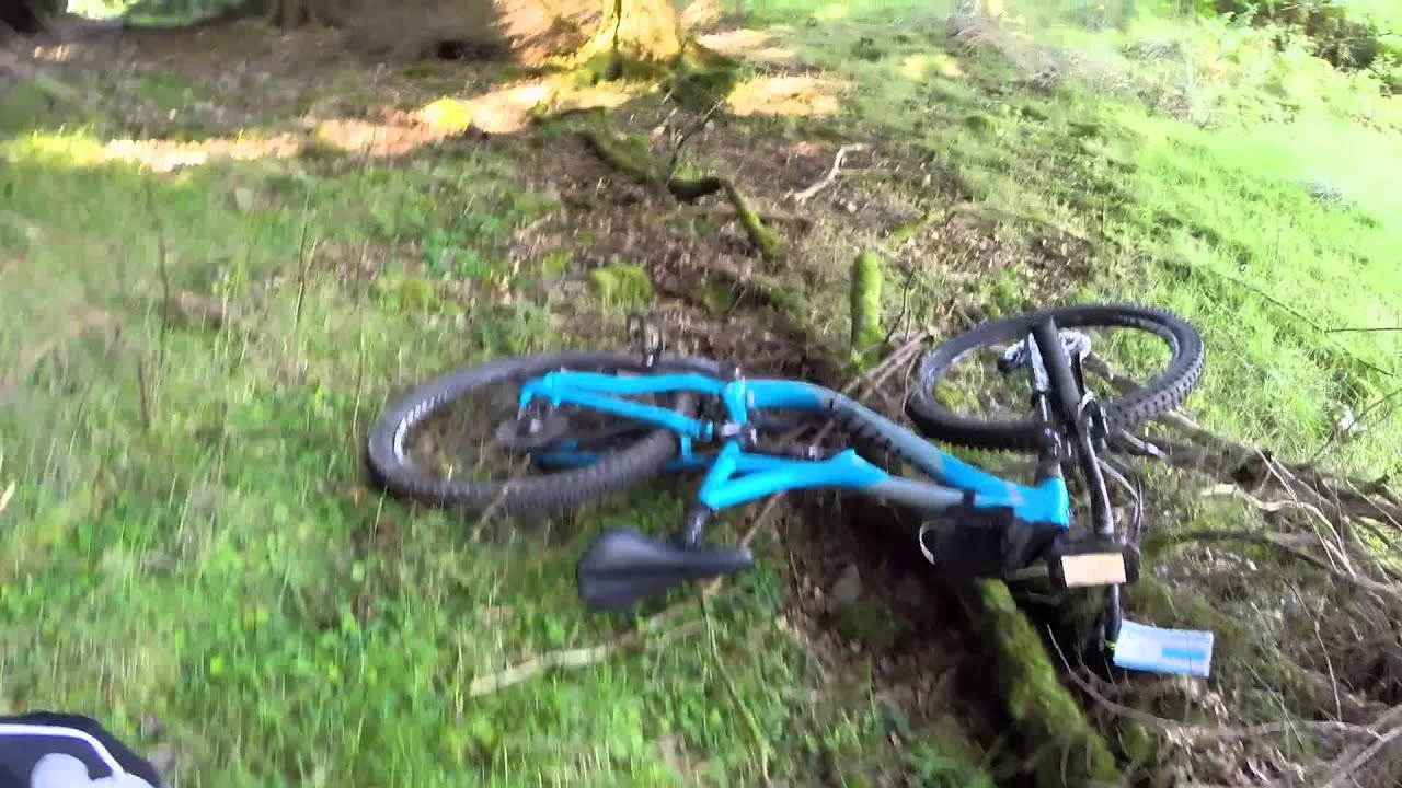 Quantock Quake 2015 blue run mountain biking