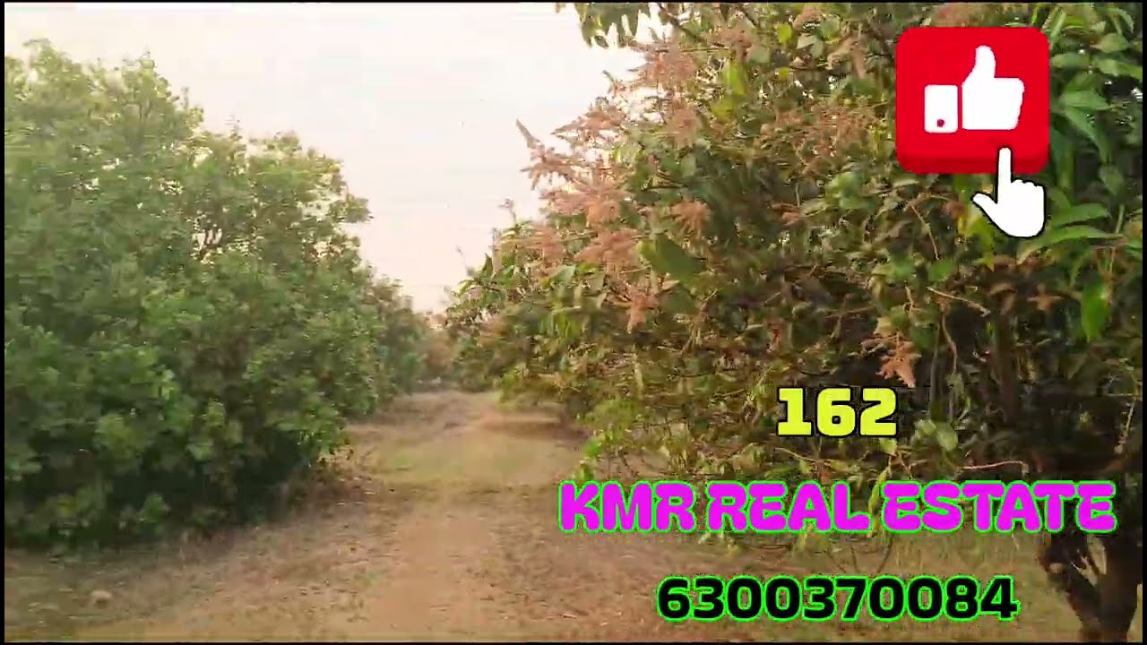 7.60 సెంట్ల లేత మామిడి తొట అమ్మబడును || kmr real estate