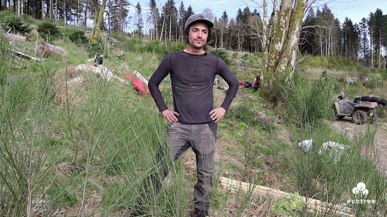 Plantation d'arbres dans la forêt du Syndicat (Vosges), entretien avec un planteur | EcoTree
