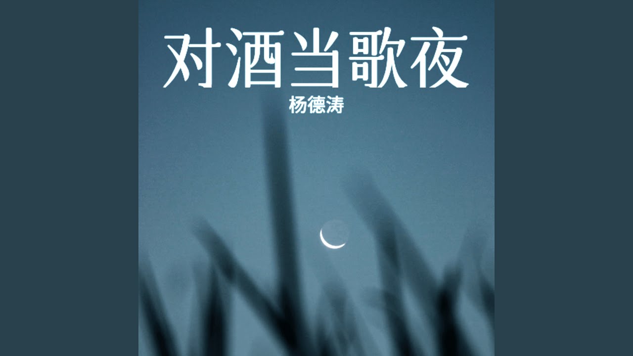 对酒当歌夜