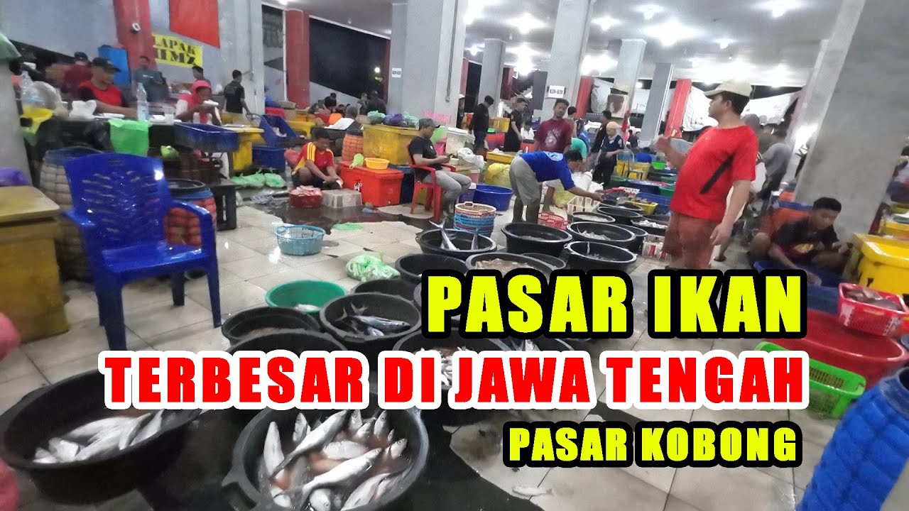 JALAN JALAN PASAR KOBONG SEMARANG GROSIR ECER IKAN || SALAH SATU PASAR TERBESAR DI JAWA TENGAH