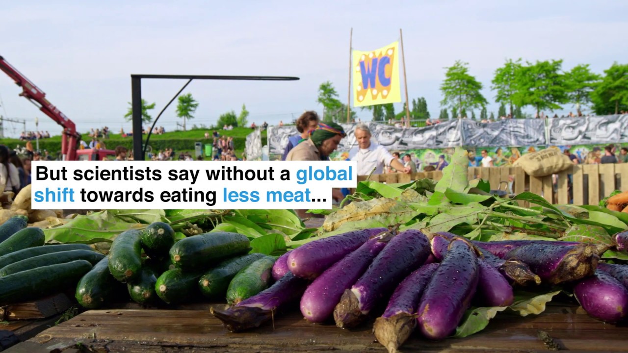 How plant-based meat could revolutionise the food industry and help combat climate change