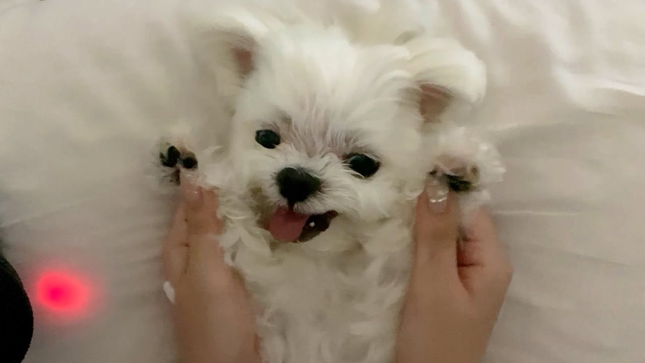 ASMR)화내도 팅글 폭발✨ | 산책 후 스킨케어 루틴🧴