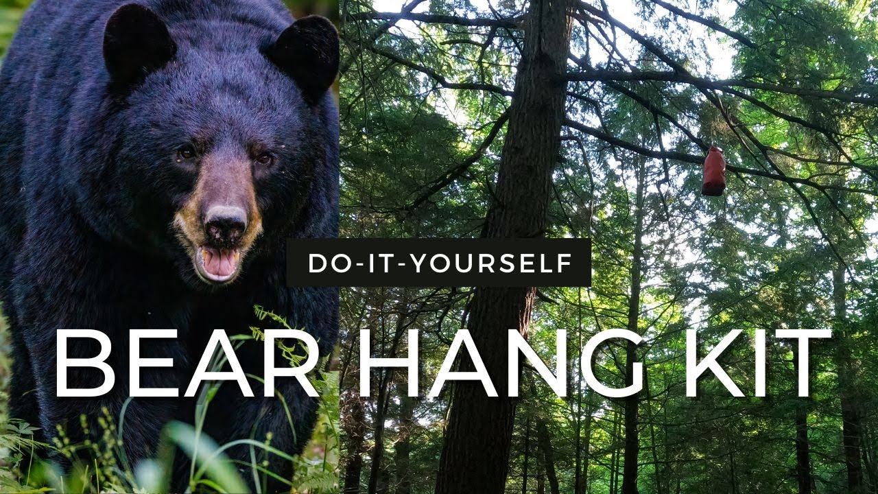 My DIY Bear Hang Kit