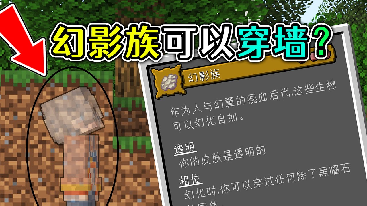 我的世界：MC新添9個種族？幻影族可以穿牆，翼人族自帶鞘翅！【小包小包】