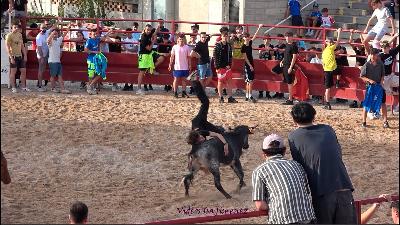 Utebo (Zaragoza) - 21/06/2025 - Becerras - HD