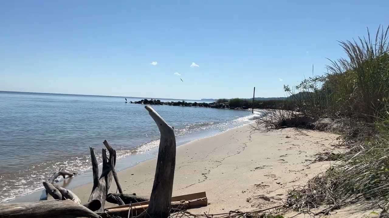 Scientist Cliffs Beach, Port Republic MD (12 min) #asmrbeach #calvertcountymd #portrepublicmd