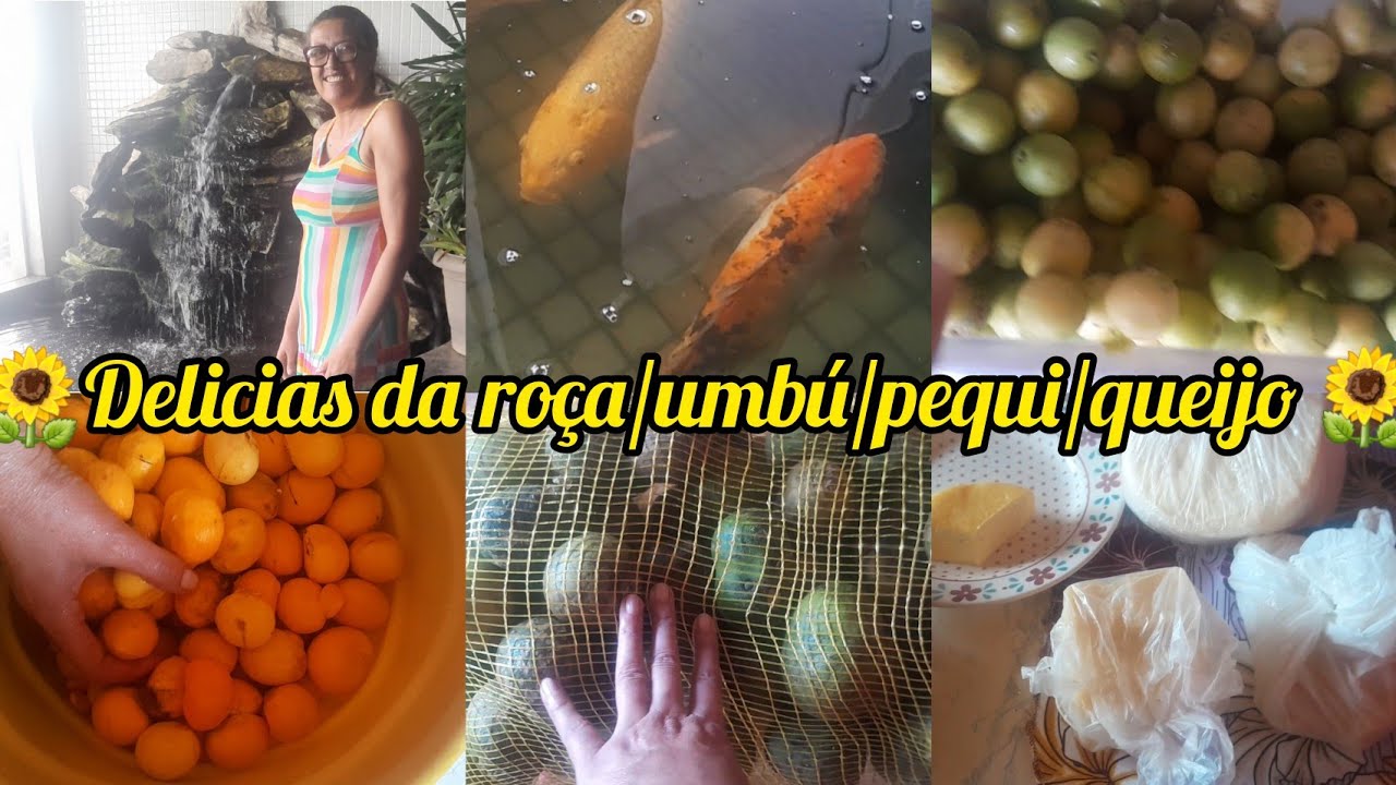 DE VOLTA  PRA CASA MAS  COM O CORAÇÃOZINHO APERTADO/ NÃO TEVE JEITO TIVE QUE DEIXAR ELA LÁ 😢