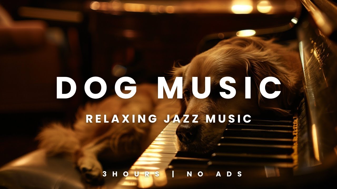 Jazz Music for Dogs - Relaxing Dog Music #jazzmusicrelaxing #dogmusic #relaxingdogmusic #relaxingdog