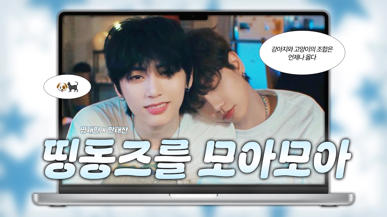 [보넥도/명재현/태산] 보넥도의 강아지 고양이 🐶🐈‍⬛ 띵동즈를 모아모아