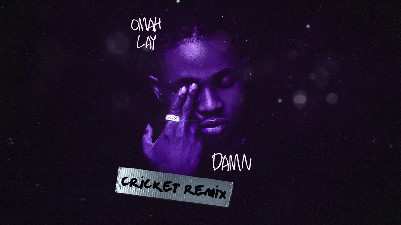 Omah Lay - Damn [Cricket Remix] (Official Audio)