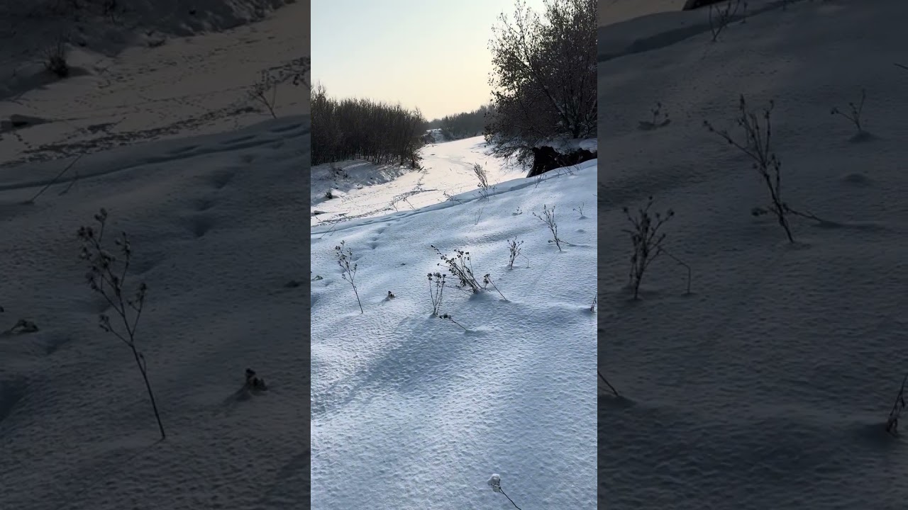 Совет 