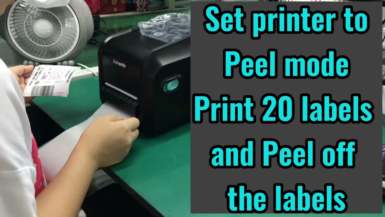Gainscha Peeler Printer - Load print media & Print labels & Peel off labels (完整版)