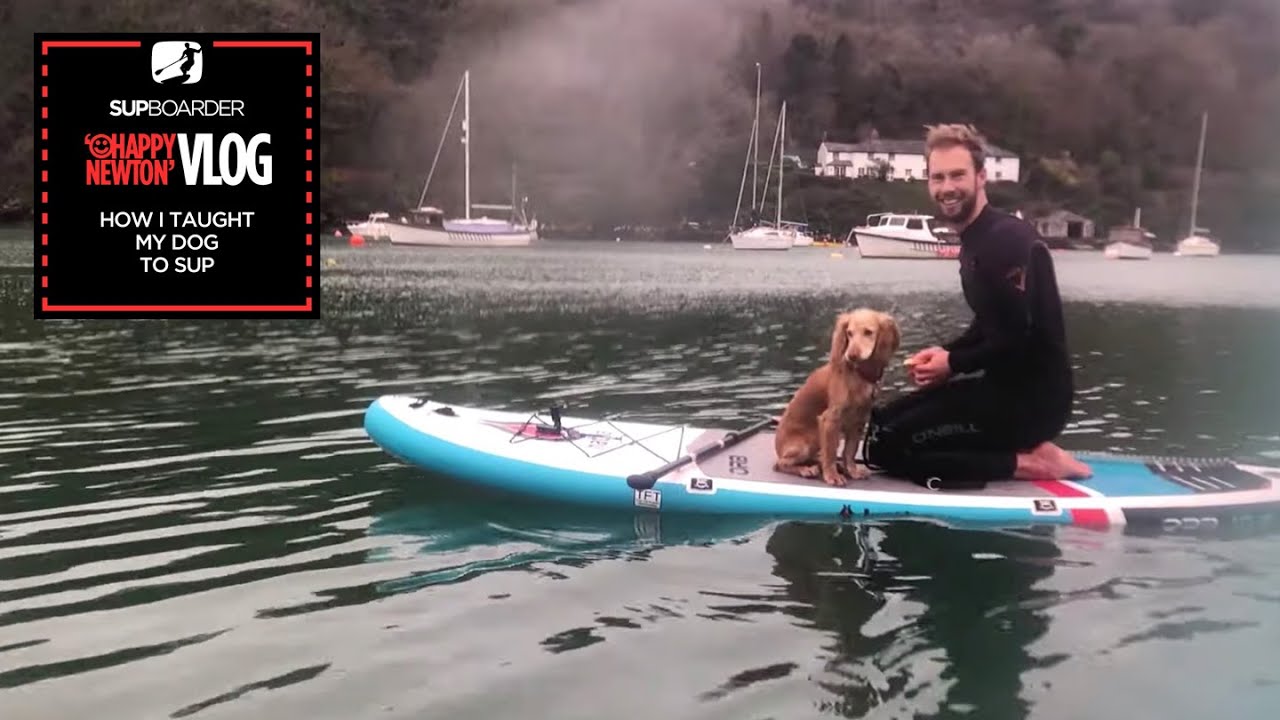 SUP Vlogger Ep7 / How I taught my dog to SUP