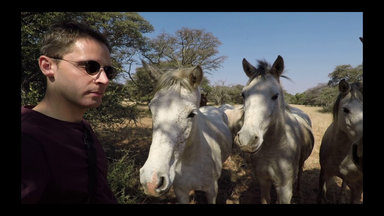 North Hills, South Africa - Walk around with animals (07/2019)
