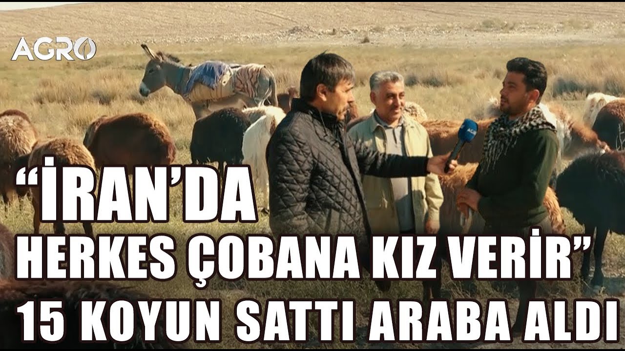 Çoban İran'da 15 Koyun Sattı Araba Aldı! 