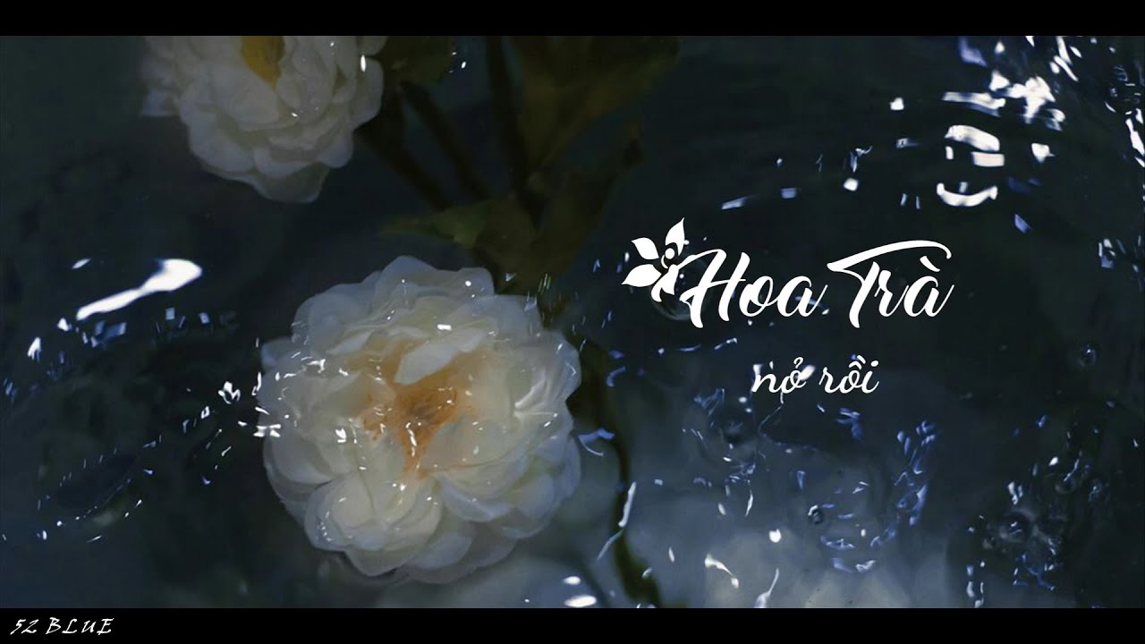 [Vietsub] Hoa Trà Nở Rồi - Lý Vũ Xuân & Vương Duệ Trác | 茶花开了 - 李宇春 & 王睿卓