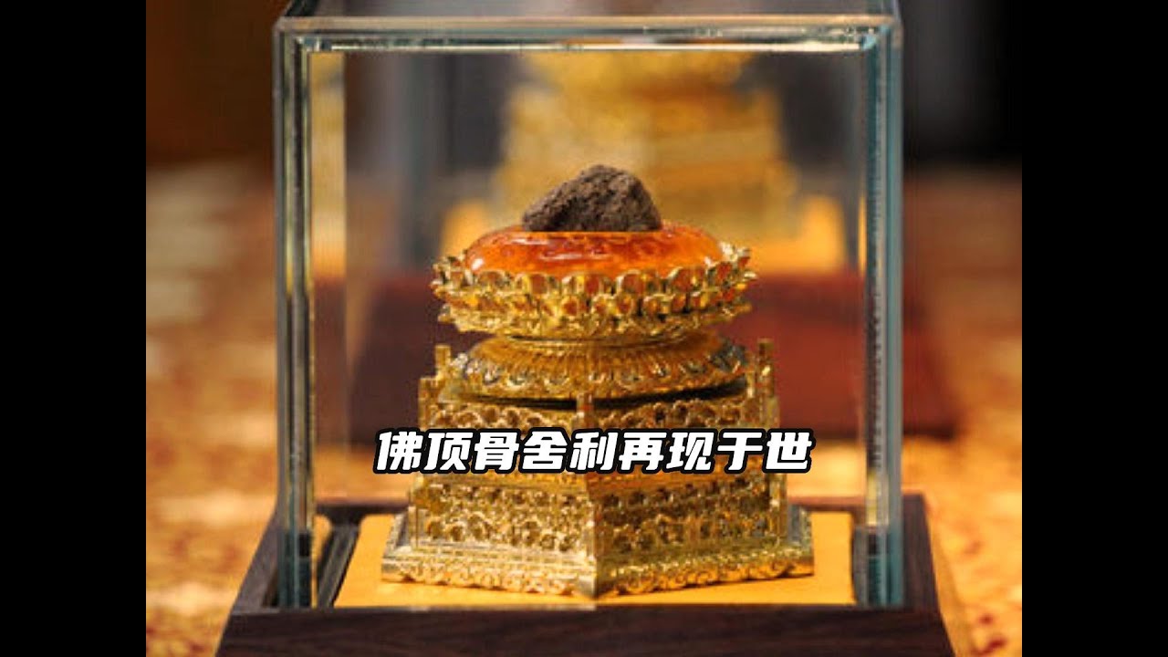 释迦牟尼佛顶骨舍利在大报恩寺被发掘，世上唯一一颗佛顶真骨，星云法师亲临现场恭迎