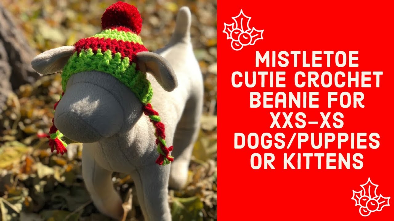 🎄🎅 Mistletoe Cutie Crochet Pet Beanie (FOR XXS-XS DOGS/PUPPIES/KITTENS and RABBITS!) 🎅🎄