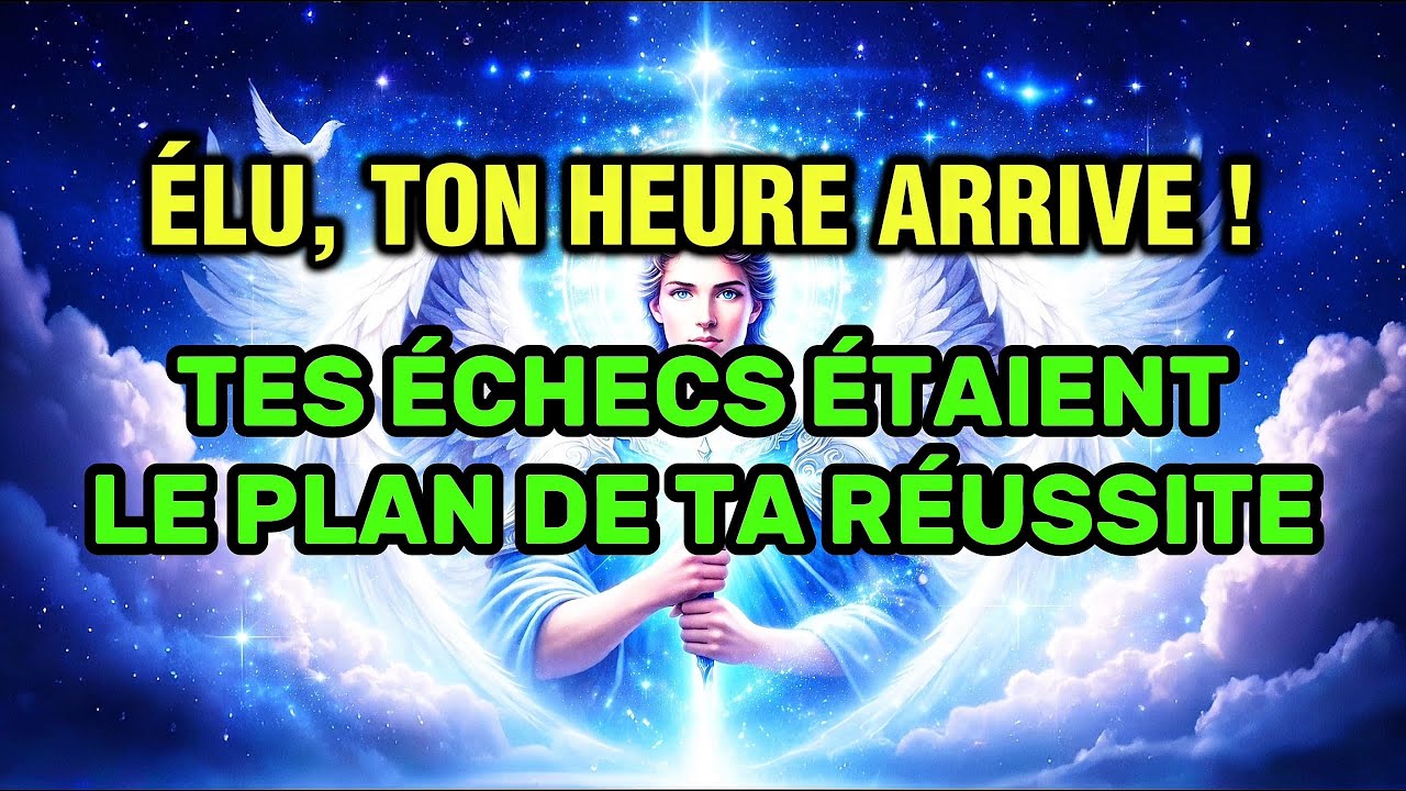 &Eacute;LU, ILS ONT RI DE TES CHUTES&hellip; MAIS TON &Eacute;L&Eacute;VATION COMMENCE