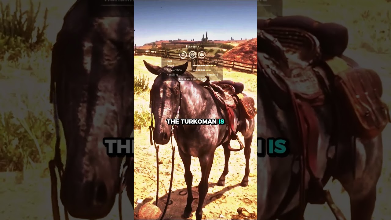 What Horse is The Best in RDR2?