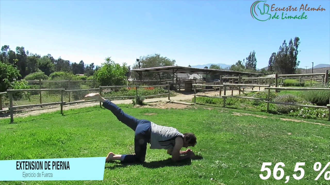 Ejercicios de musculatura y elongación para jinetes principiantes