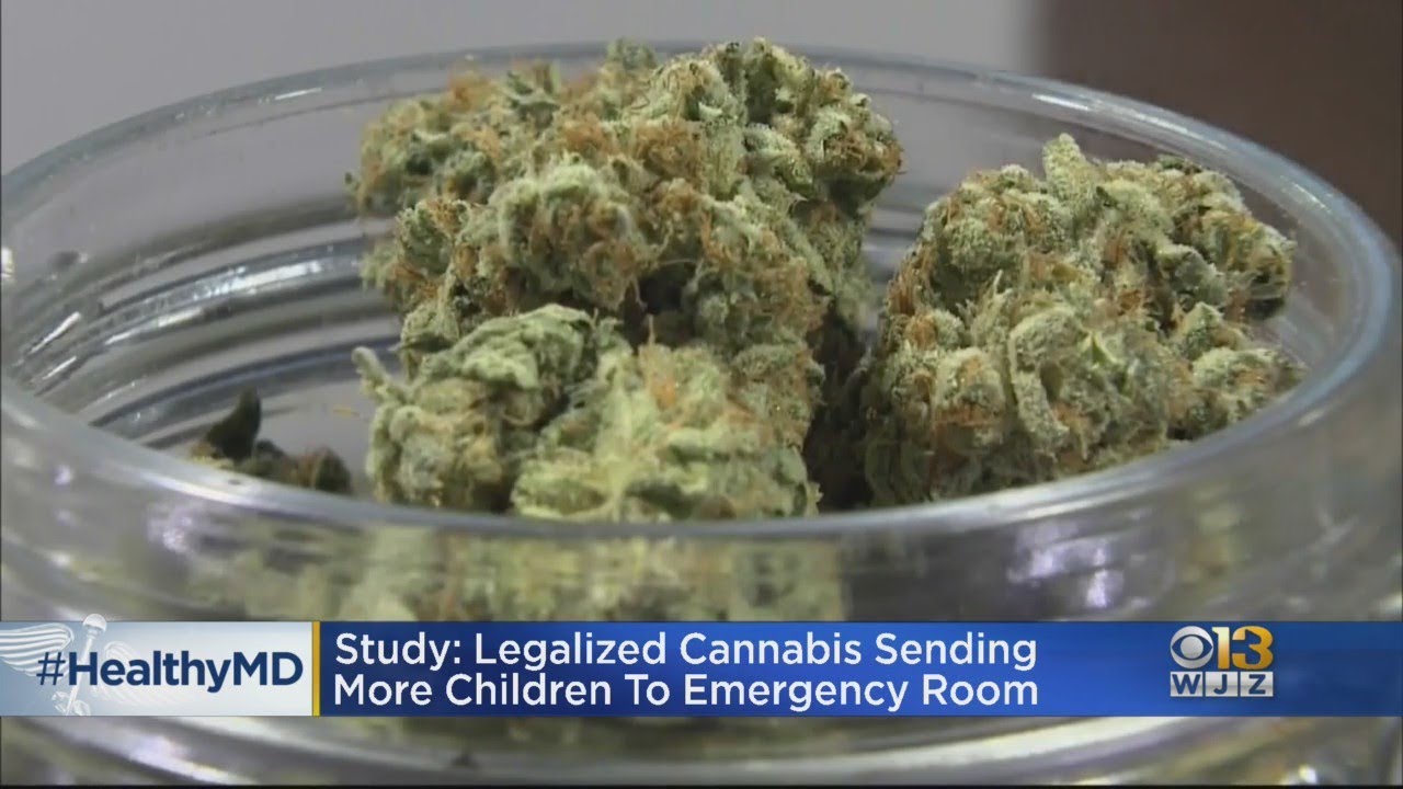 HealthWatch: Study Finds Legalized Cannabis Sending Kids To ER
